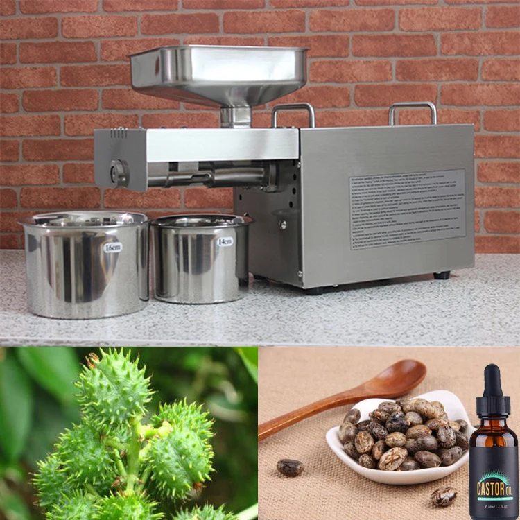 

Stainless steel automatic cold press oil machine, oil cold press machine, sunflower seeds oil extractor, Castor seed