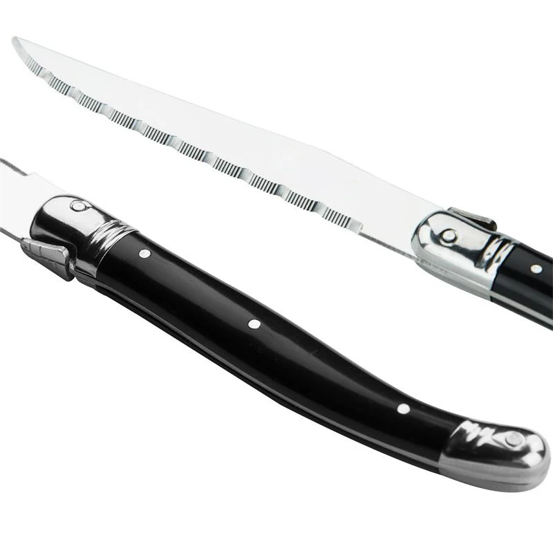 Black Dinner Knife (2)