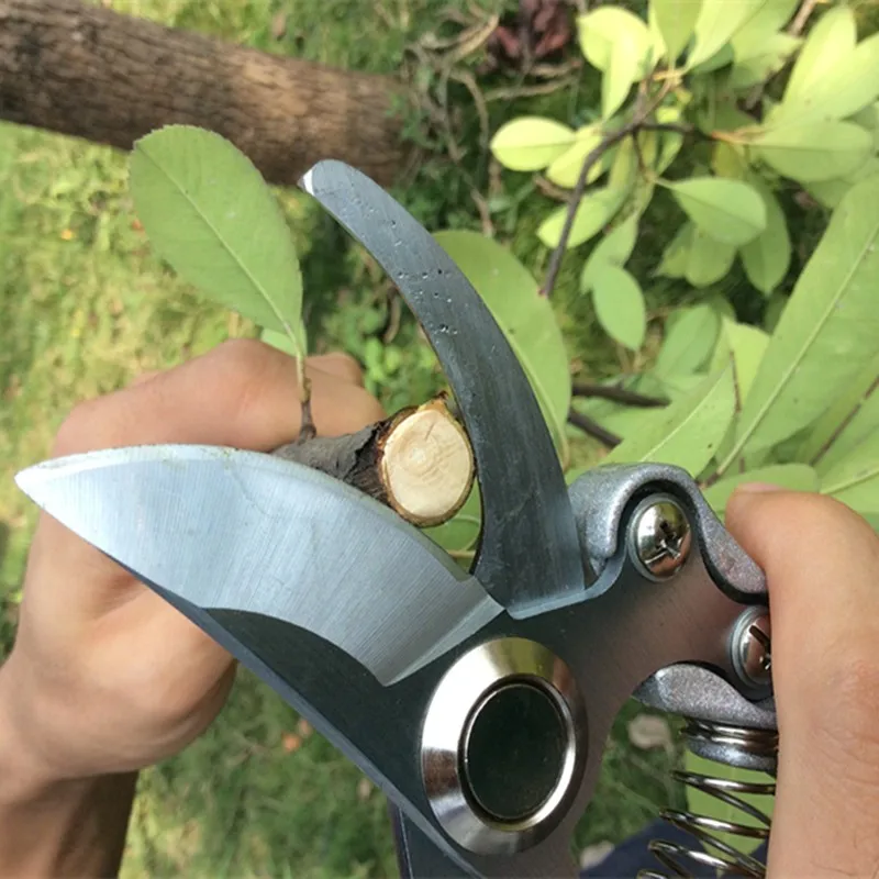 Grafting Tool High Carbon Steel Fruit Tree Pruning Shears Bonsai Pruners Garden Shears Gardening Secateurs Garden Scissors Hot