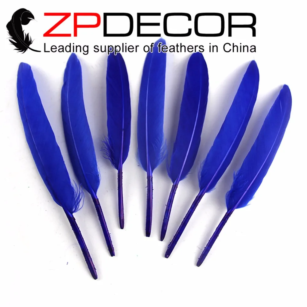 ZPDECOR Feather 100 pcs/lot 10 15cm(4 6inch) Hand Select Wholesale
