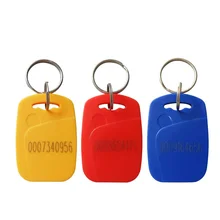 100 шт. RFID брелоки 125 кГц Близость ABS брелоки метки контроля доступа EM4100 только для чтения 45x31x5,5 мм