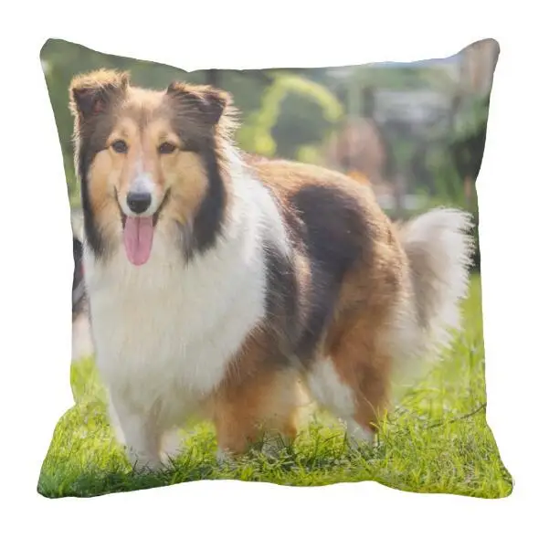 Cute Sheltie Shetland Sheepdog Dog Decorative Cushion Cover Cute Sheltie Shetland Sheepdog Dog