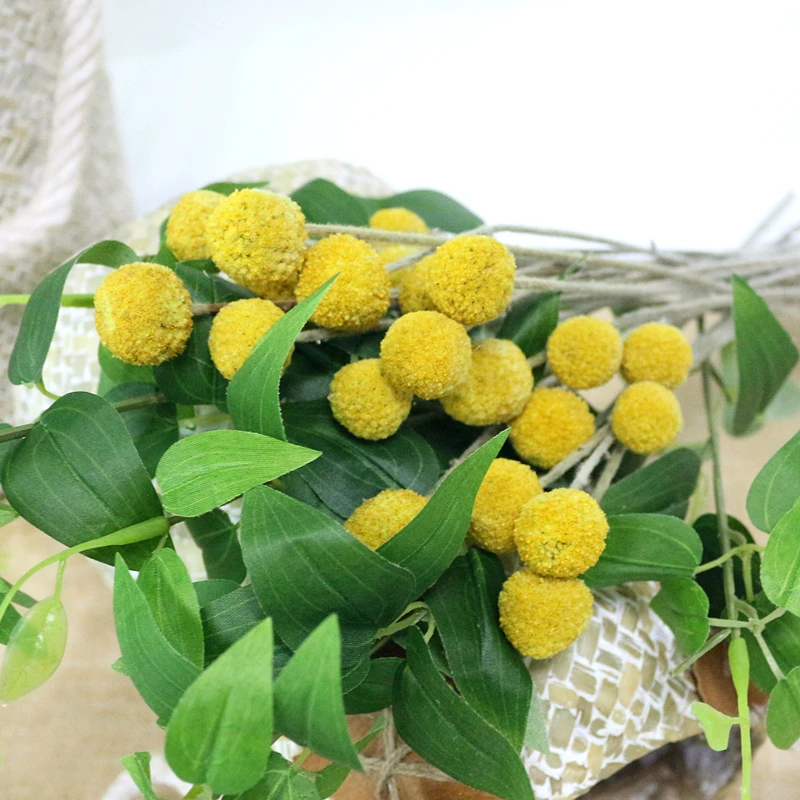 JAROWN Natural Dried Flowers Gold Ball Eternal Flores For Wedding DIY Bouquet Decorations Home Flower Arrangement Art (5)
