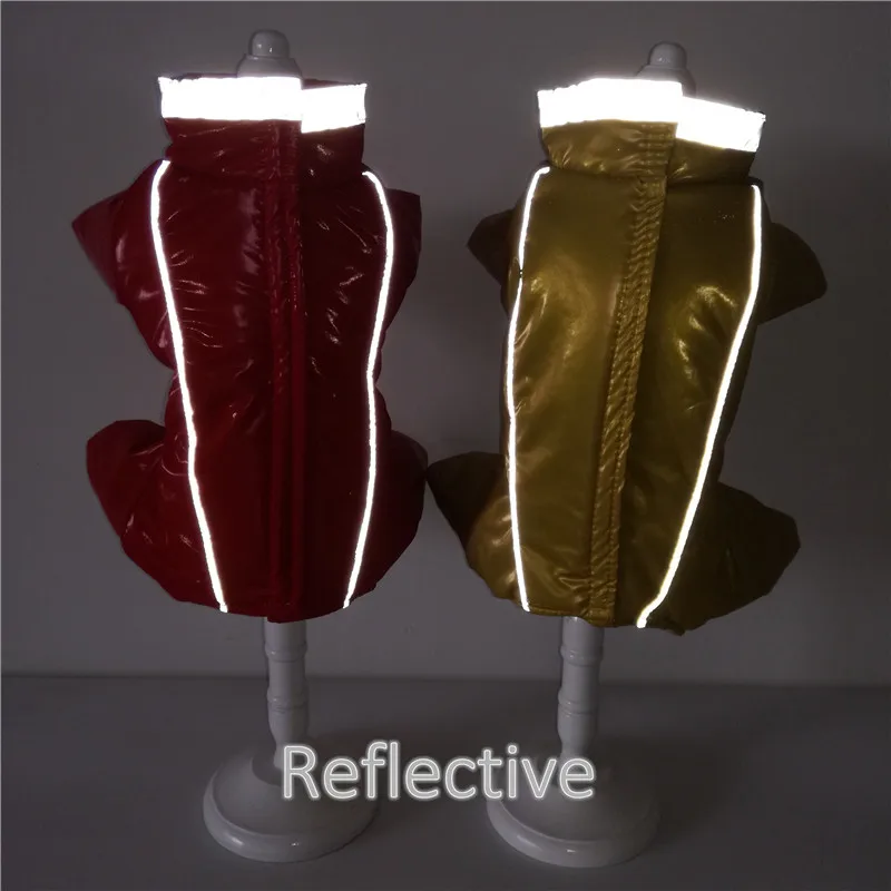 Dog Clothes Winter (26)