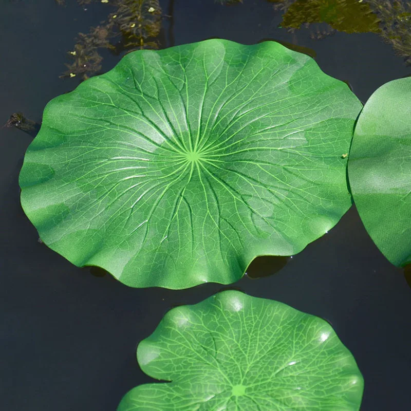 Green lotus leaf Green lotus leaf