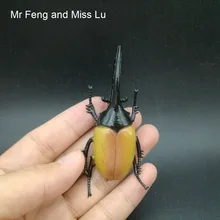 7,5 см Жук модель мини-игрушки малыш подарки весело животных развивающие игры ум