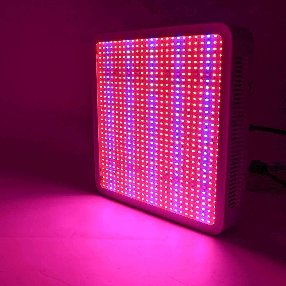 800w