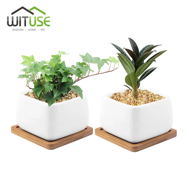 Wituse 2pcs Ceramic Hexagonal Plant Pot Mini Succulent Flower Wituse 2pcs Ceramic Hexagonal Plant Pot Mini Succulent Flower Herb Bonsai Pots With Bamboo