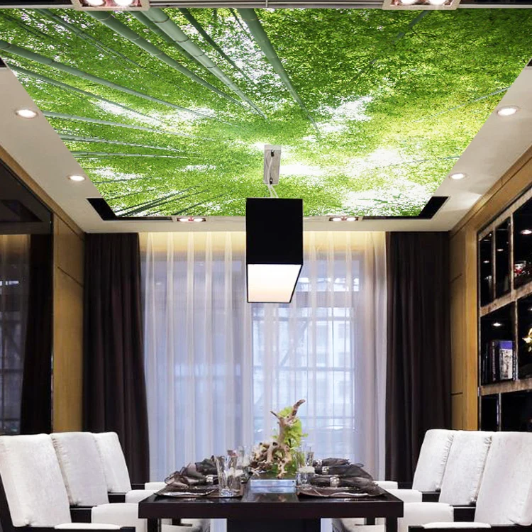GroÃe eigene wandtapete 3d wohnzimmer decke decke dach tapete restaurant dach hintergrund tapeten wandverkleidung.jpg