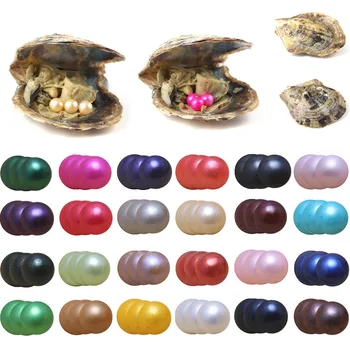 

Random Color Akoya Pearls Oysters Triplets Pearls Saltwater Oysters with 6.5-7.5mm Round Pearls for Jewelry Making or Birthday