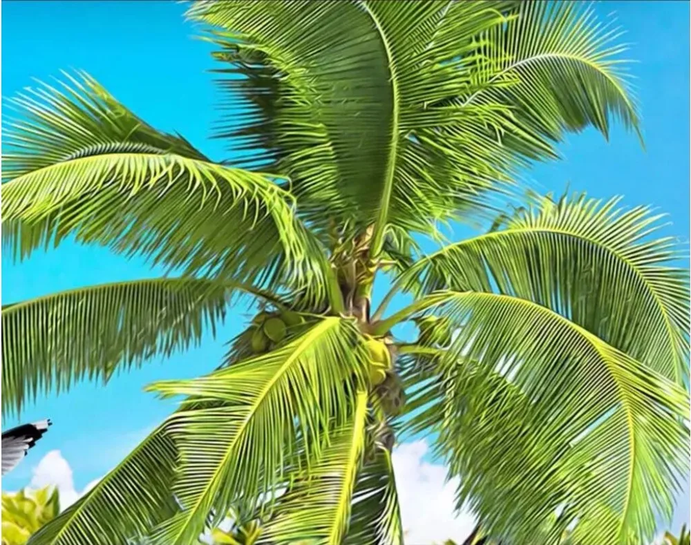 3d обои на заказ фотообои красивый вид кокосовое дерево фон для телевизора