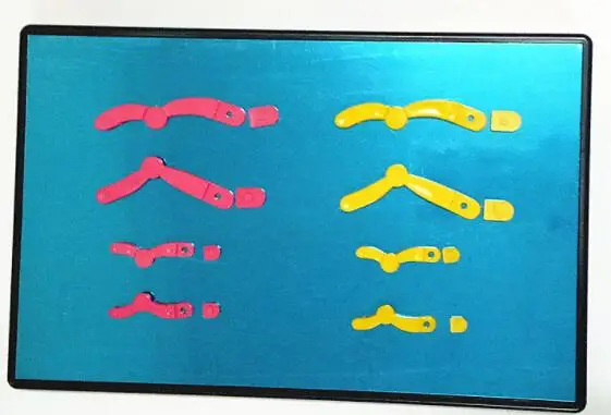 Модельные компоненты chromosome изменения в meiosis для биомедицины экспериментное оборудование обучающий инструмент