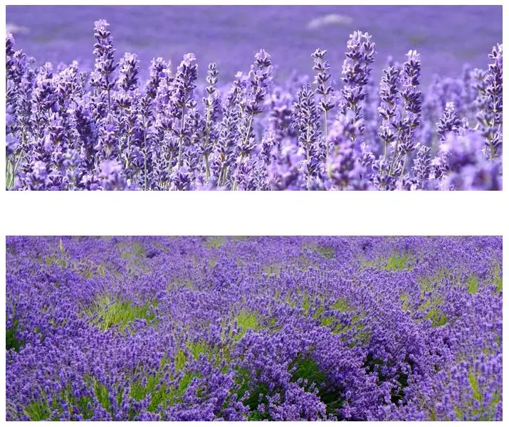 QQ截图20190627150003