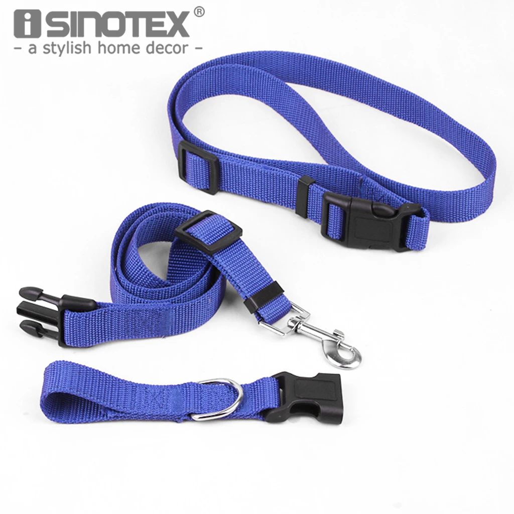 Puppy Dog Collar And Lead Puppy Dog Collar And Lead