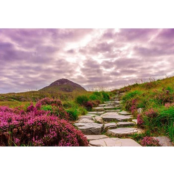 

Full Square drill 5D DIY Diamond painting Irish landscape Hillside stone road Embroidery Mosaic Cross Stitch Rhinestone decor