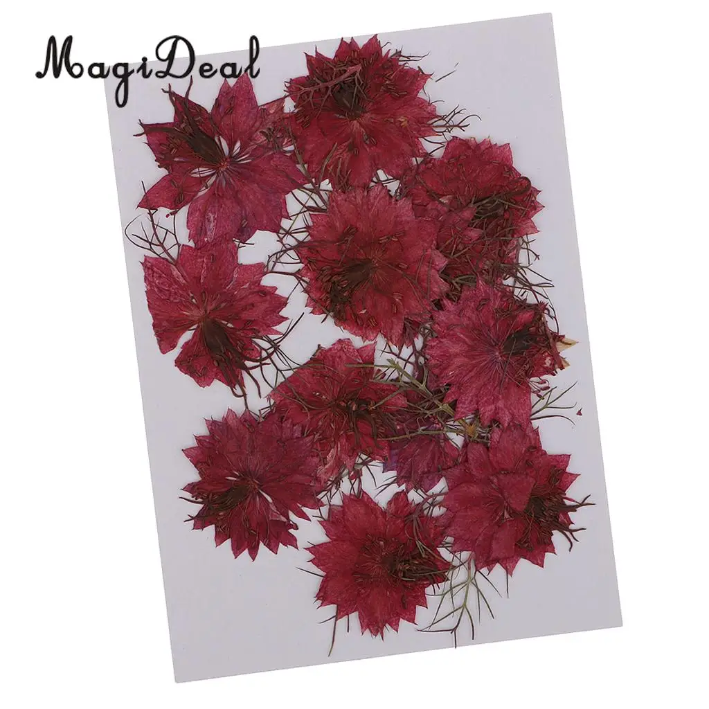 12pcs Love-in-a-mist Natural Pressed Real Dried Flower for Craft DIY Resin Ornaments