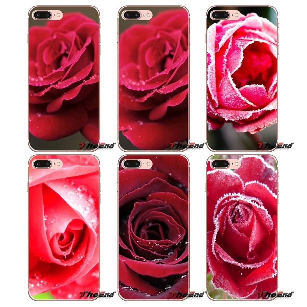 Macro Red rose Flowers Soft Silicone Case For iPhone X 4 4S 5 5S 5C SE 6 6S 7 8 Plus Samsung Galaxy J1 J3 J5 J7 A3 A5 2016 2017 | Мобильные