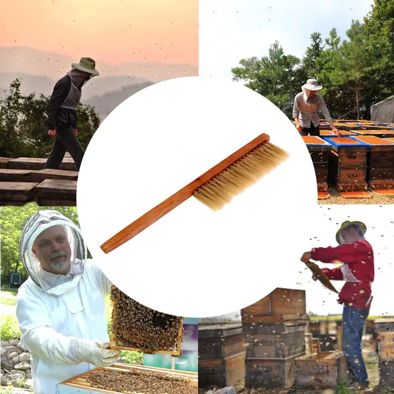 

Beekeeping Equipment Garden Wood Bee Sweep Brush Pig's Bristles Bee Brushes Beekeeping Tools for Apicultura Beekeeper