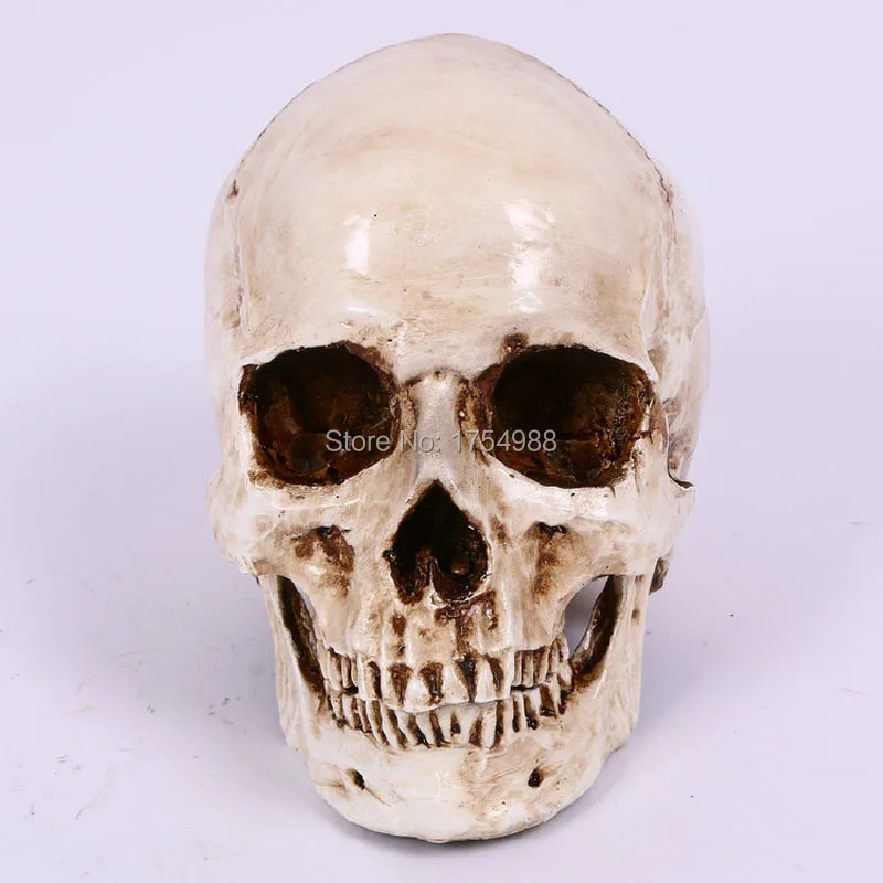 takagism game doorrooms supply real life escape room game props decorate resin white head skull model halloween props - Halloween Supply Store takagism game doorrooms supply real life escape room game props decorate resin white head skull model halloween props - Halloween Supply Store