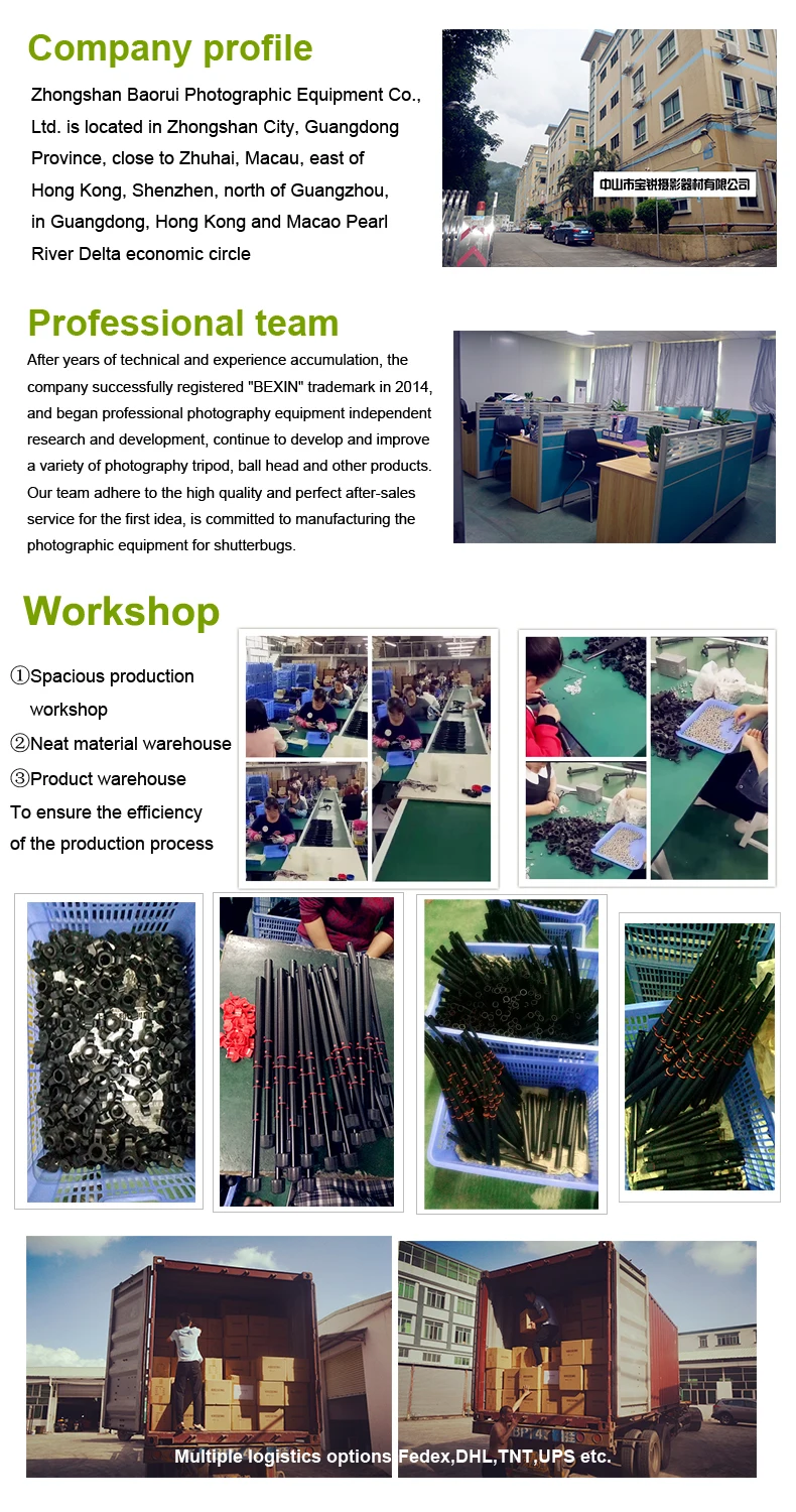 Company profile