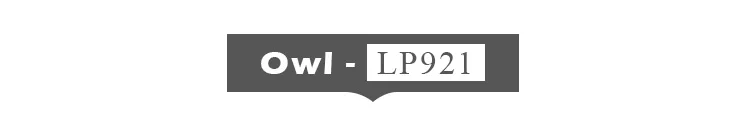 -1--DW-L-LP921_01