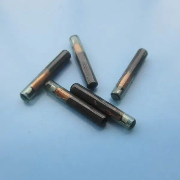 (Chip-39) (1)