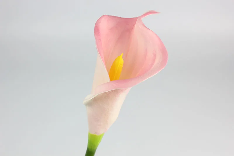 1 pink
