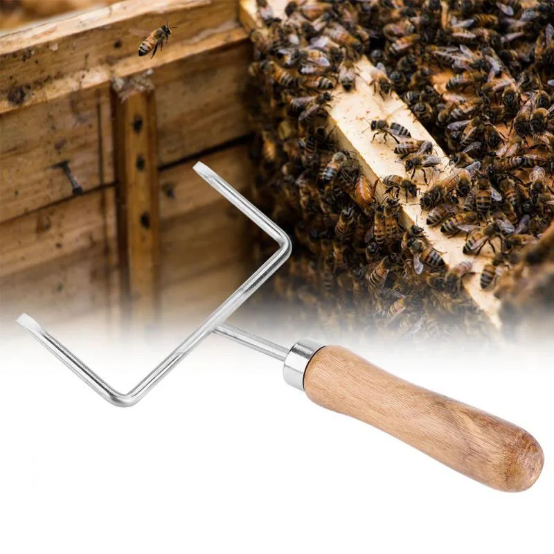 Buy Honey Pollen Garden Shovel Scraper Apiculture