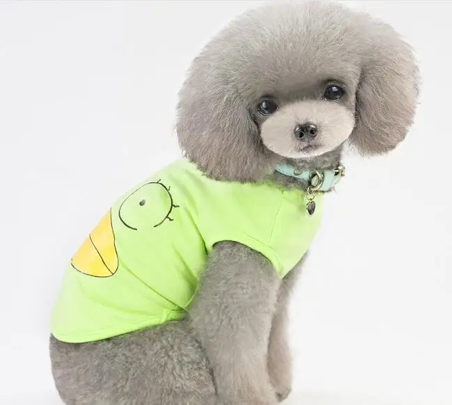 QQ20190318231037