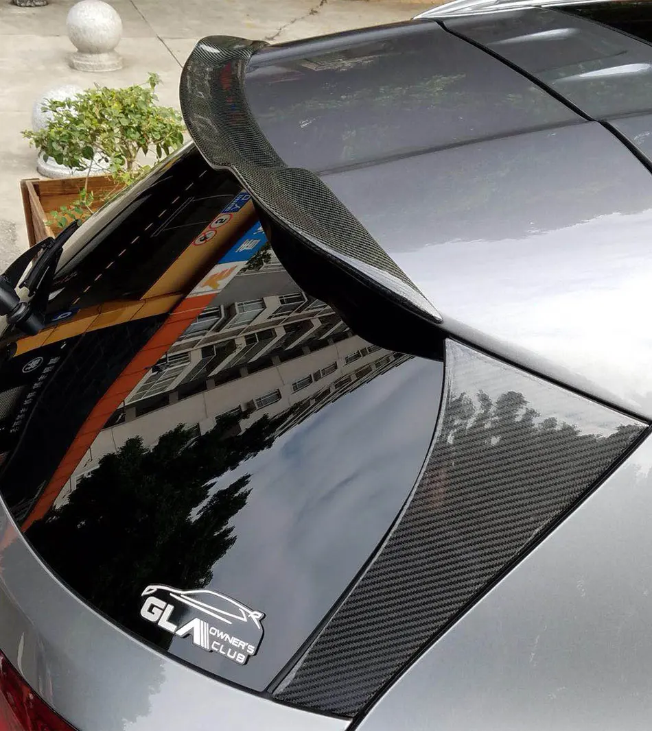 Carbon Fiber Roof