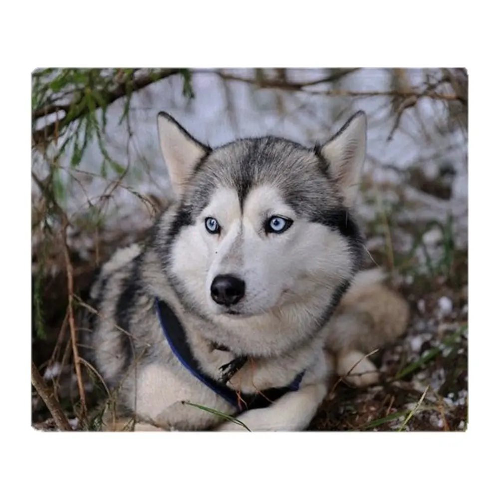 Siberian Husky Soft Coral Fleece Fabric Throw Blanket Sofa Bed Travel