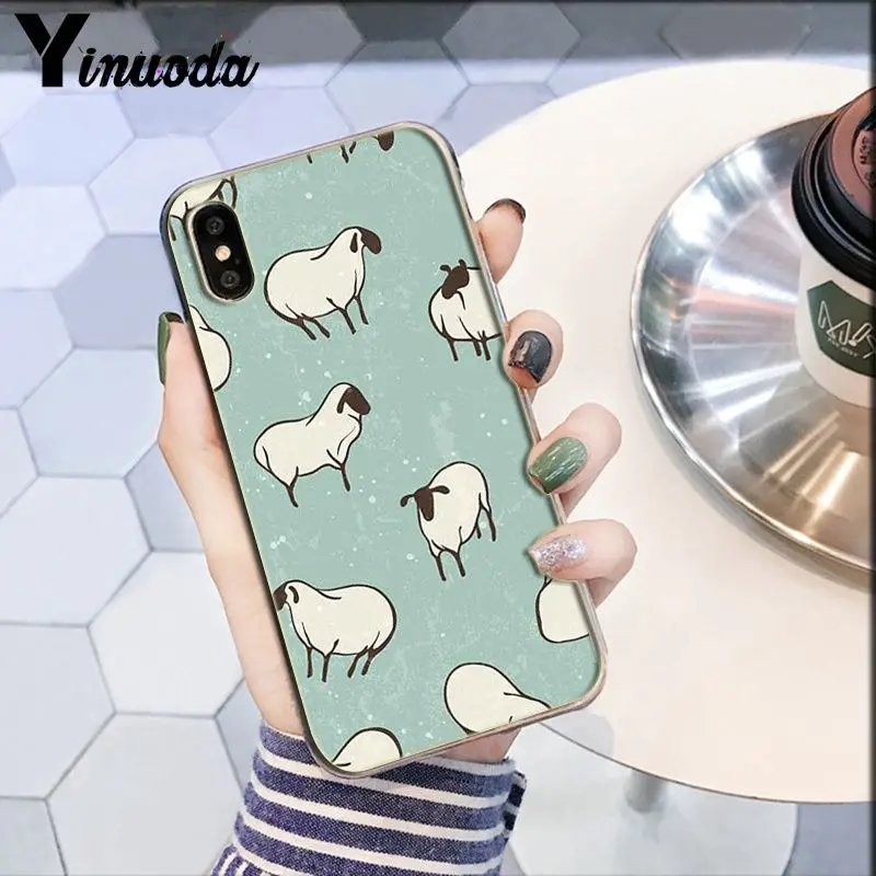 Darcy hedgehog Sheep