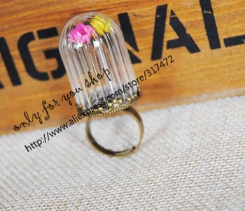 

20sets/lot 30x20mm vertical stripes glass vial pendant &20mm ring base DIY glass vial pendant glass dry flower pendant