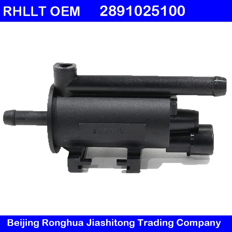 2891025100 Vapor Canister Purge Control Valve Fits Kia Rondo Carens