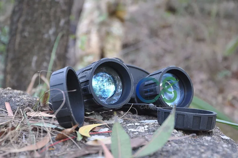Vídeo com 1.5 Eagleeye Digital Visão Noturna Binocular 300m Faixa Leva 5mp Foto & 720p Tft Lcd Gs27-0020 4x50 24 Cheap Visões noturnas