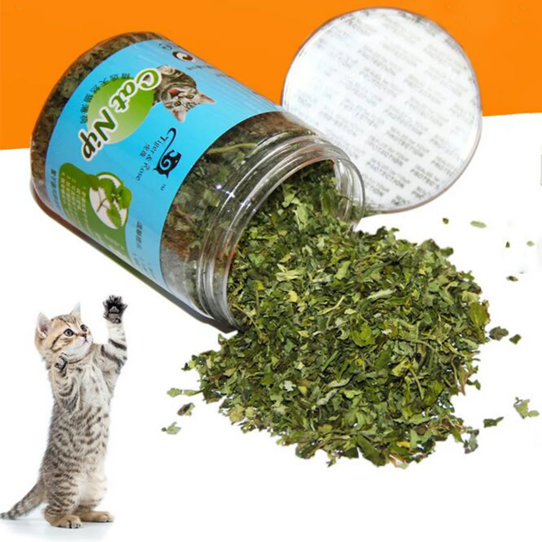 cat mint treats cat mint treats