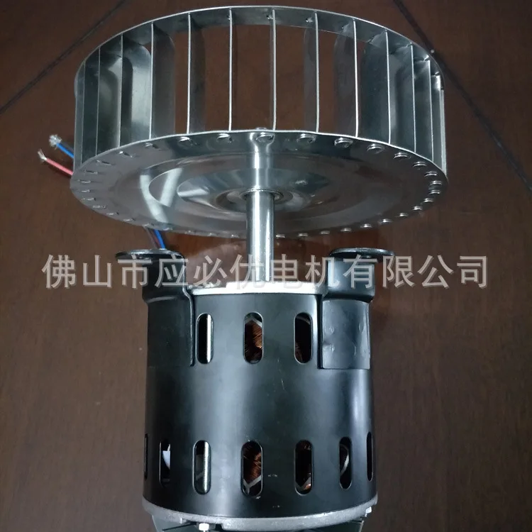 

Professional Sales Asynchronous Oven Motor 200W Oven Motor High Quality Oven Motor