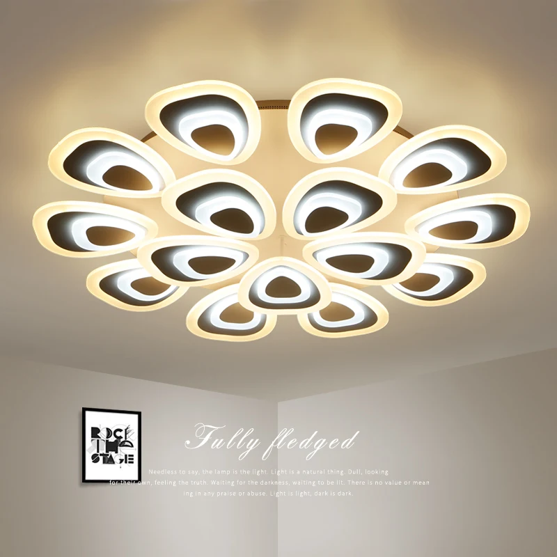 

LED Modern Acrylic ceiling lights home living room lamp creative novelty fixtures ceiling lamps bedroom Ceiling lighting