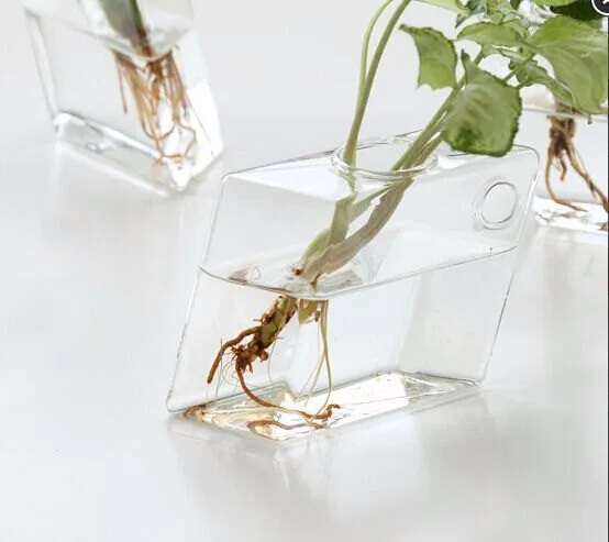O Roselif New Rhombus Glass Wall Vase Wall Hang Planters Rooting