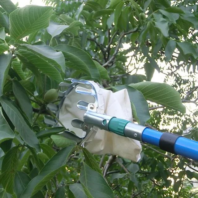 Garden Pruning Fruit Picker Gardening Apples Pear Peach Picking Tool Metal Creatively Long Distance Collection Gathering Tools
