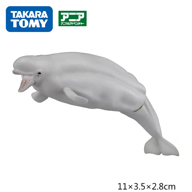 TAKARA TOMY, дикие животные, мир, модель игрушек, морской лев, лес, король, тигр, фигурка, фигурка, обезьяна, кролик, Зебра, кукла, детские подарки - Цвет: baijing