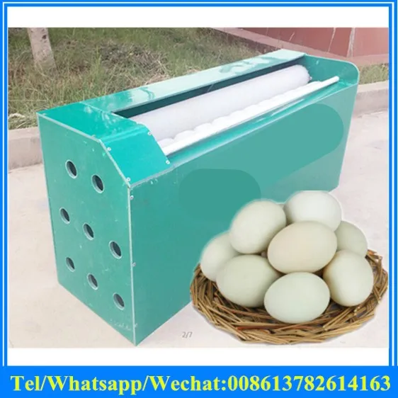 Buy brush type egg washing machine automatic soft