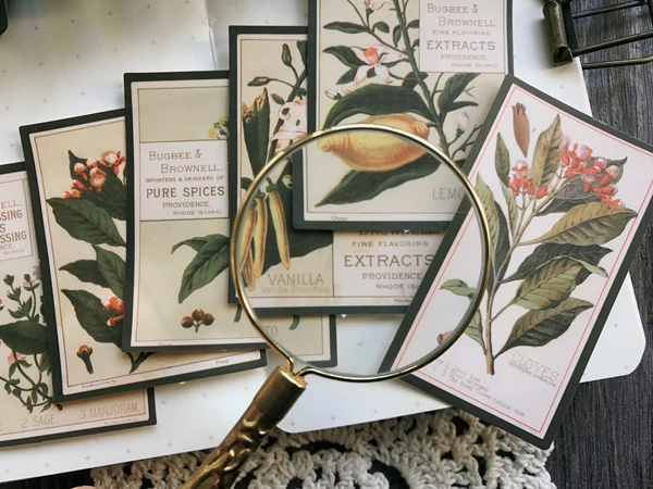 3 (5)
