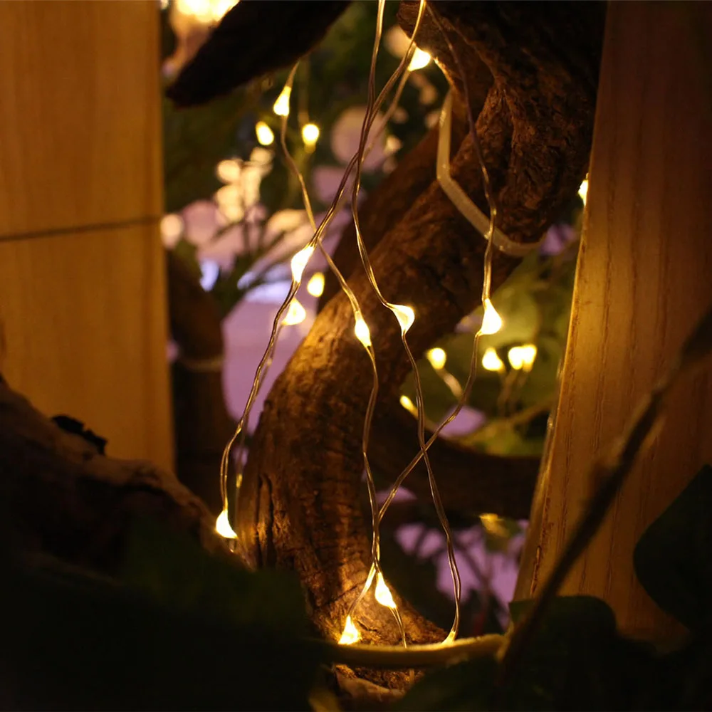 outdoor-christmas-lights