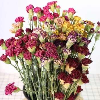 

10pcs Multi-head dried flower for wall DIY window home eternal flower hanging dried rose flowers fresh Free Shipping