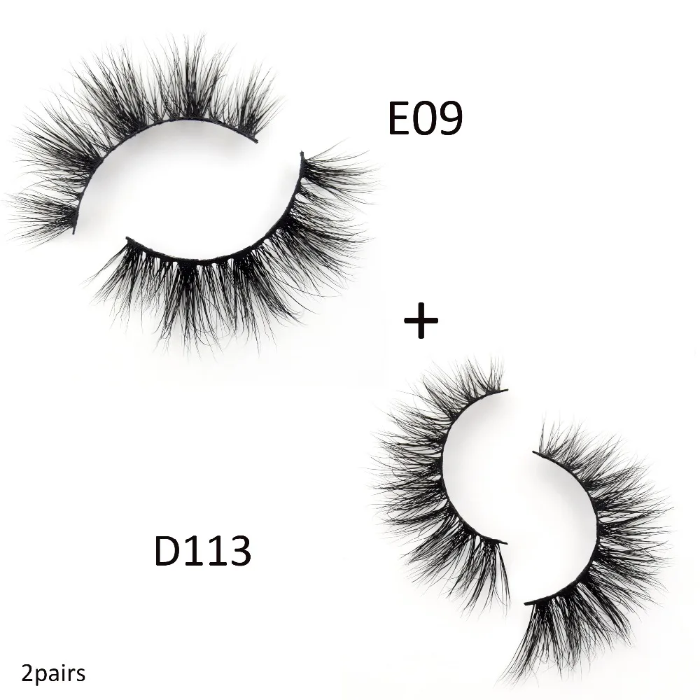 E09 D113