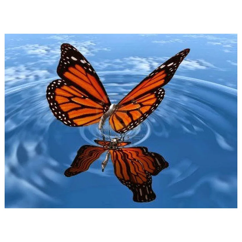 3d-butterfly-live-wallpaper-awesome-3d-hd-live-wallpapers-laptop-hd-desktop-backgrounds-page-4-of-3d-butterfly-live-wallpaper