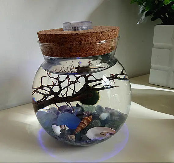 Marimo Terrarium kit Round Terrarium with LED Light Cork,Aquatic Moss