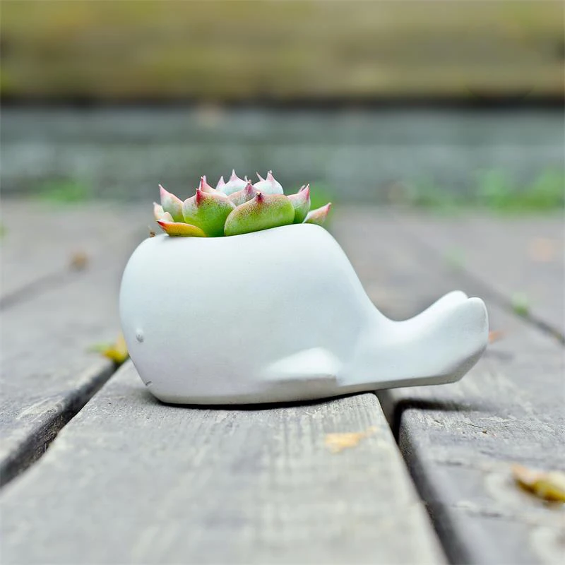 Succulent Plants Flower Pot Silicone Mold Animal Whale Fish Shape Concrete Mould