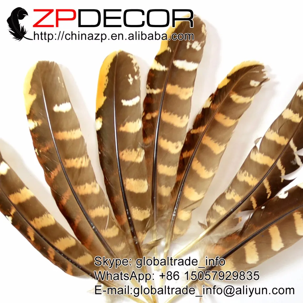 Pheasant Reeve Quills - Venery Pheasant Wing Feathers3
